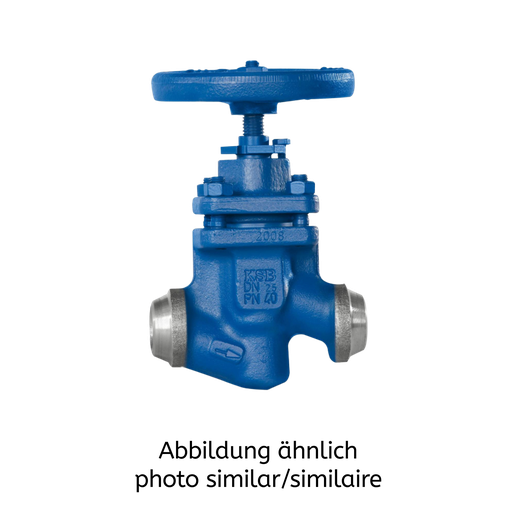 BOA-HE C22.8, PN40 DN50 mit Schweißenden