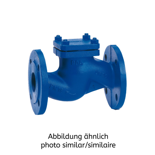 BOA-R DN200 PN16 EN-GJL-250 (5.1301)