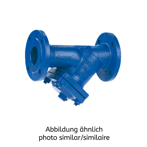 BOA-S mit Einfachsieb Gehäuse EN-GJL-250, PN16, DN 65,