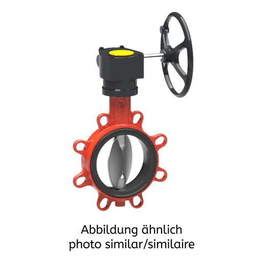 BOAX-SF PN10 DN250 T43G6K6GK LP460