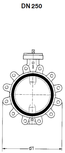 BOAXSF DN250 PN10 T4 3G6K6GXU MS50