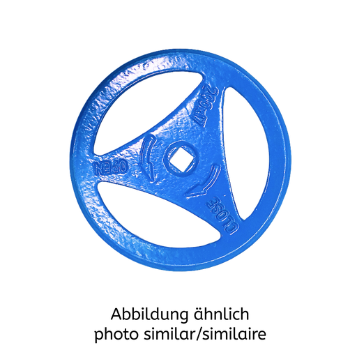 Ersatz-Handrad 200X17 VK19, D Guss