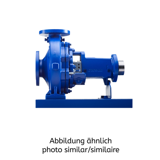 Etanorm ETN 125-100-250-GGSAA11GSFJV2EHB ohne Motor