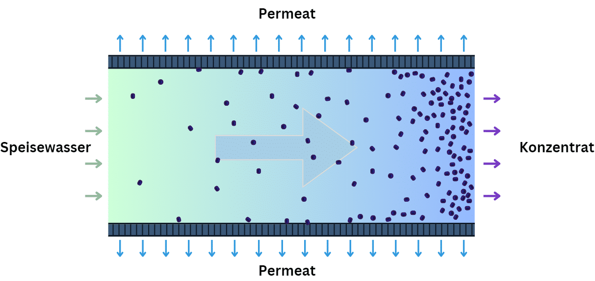 Fig. 5: Cross-section of a cross-flow filtration